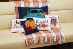 C&F Home Find Joy In All Seasons Pillow